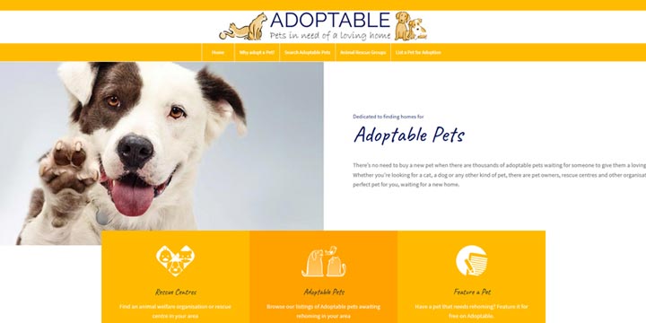 Adoptable - cats and dogs for adoption